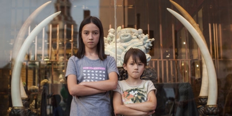 Two girls, Lucy Lan Skrine, aged 11, and Christina Seigrist, aged 8, who both live and go to school in Hong Kong, launched a petition at AVAAZ,org demanding the Hong Kong Government to destroy its entire stockpile of confiscated ivory, as a symbolic gesture to highlight the plight of tens of thousands of elephants that are being killed to supply the ivory trade.