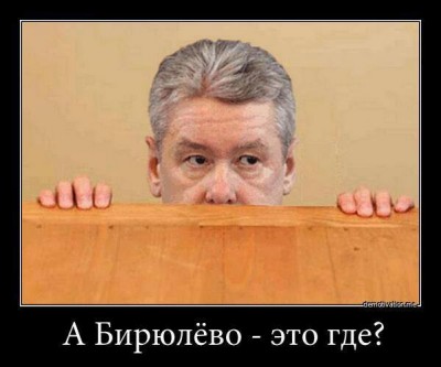 "Where's Biryulyovo?" asks a scared Sergey Sobyanin, Moscow's mayor, in a recent demotivator. Anonymous image distributed online.