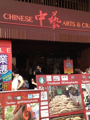 Aktywiści demonstrowali 4 października przed sklepem Chinese Arts and Crafts. Zdjęcie autorstwa Mary McCaffery, udostępnione na stronie International March for Elephants.
