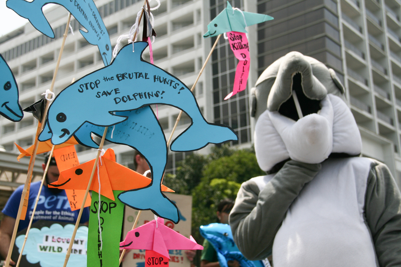 Pasay, Filippine. 2 Settembre 2013 -- La ripetuta strage dei delfini e focene a Taiji, in Giappone, ha spinto manifestanti provenienti da diverse associazioni per i diritti degli animali a protestare di fronte all'ambasciata giapponese a Pasay City. -- Il massacro che si compie ogni anno a Taiji, in Giappone, di delfini e focene ha riunito manifestanti in preghiera e protesta di fronte all'ambasciata giapponese di Pasay City, a sud di Manila. L’istituto Earth Island, insieme alle organizzazioni PAWS (Pets Are Wonderful Suppor) e PETA (People for the Ethical Treatment of Animals), dirige la protesta [Foto di J Gerard Seguia ©Demotix]