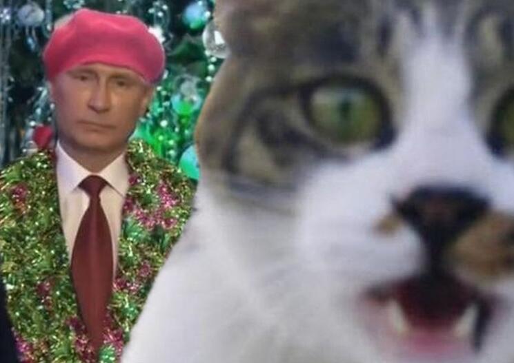 Putin's New Year address cat-bombed. Anonymous image distributed online.