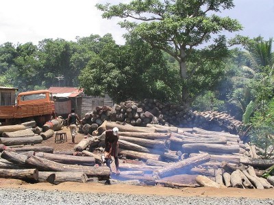  Illegally logged rosewood from Masoala and Marojejy in Antalaha, Madagascar via wikipedia CC-BY-2.0