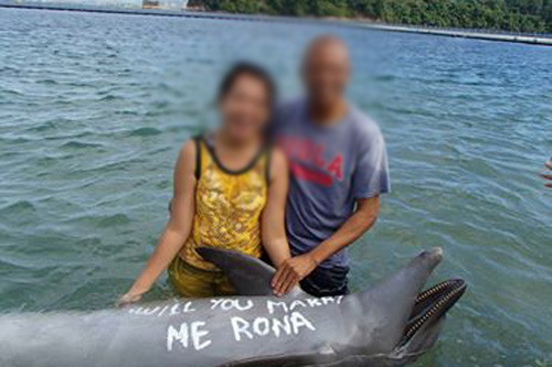 Romantico o crudele? Una proposta di mtrimonio discutibile nel parco acquatico Ocean Adventure di Subic