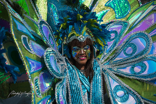 "Carnival Queen"; photo by Quinten Questel, used under a CC license.