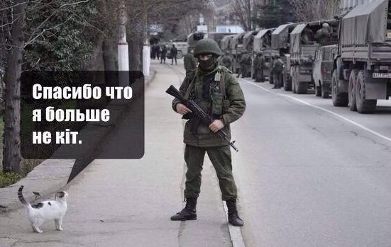 "Neidentifikovaný" voják ochraňuje rusky mluvící kočku. "Děkuji, že již nejsem 'kit'" (ukrajinské slovo pro kočku (кiт) je homonymem ruského slova pro velrybu (кит)). Zdroj neznámý.