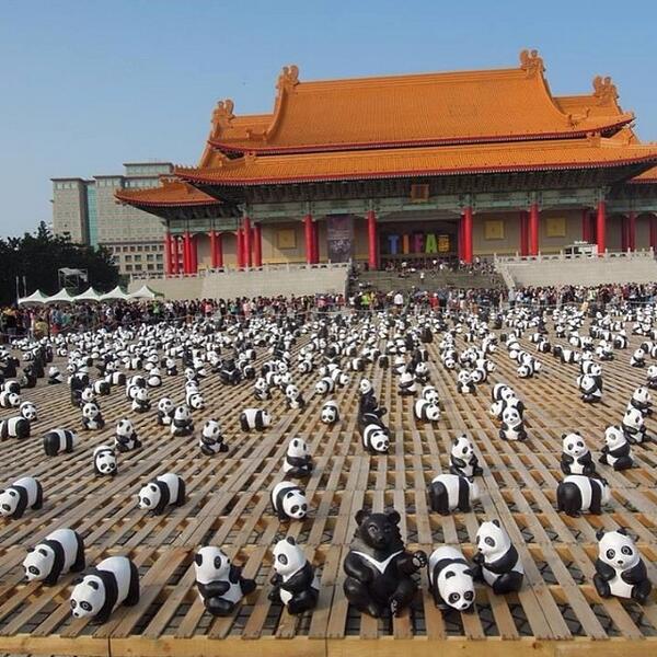 The exhibition of 1600 pandas and 200 Formosan black bears. Photo by figarotwo. CC: NC.