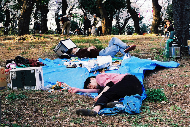 People sleep on a tarp. It's common to see people napping under the cherry blossoms after so much drinking. Photo taken April 3, 2014 by Flickr user James Hadfield. CC BY-NC-SA 2.0
