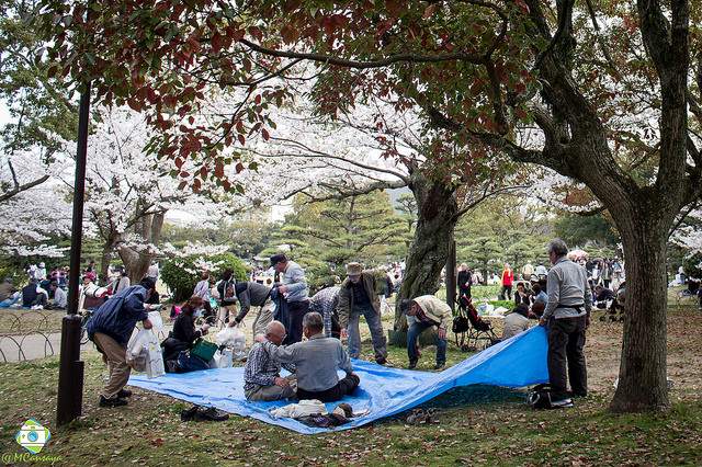 People lay out a tarp at Akashi Castle park. Photo taken April 3, 2014 by Flickr user Manuel Cansaya Jauregi. CC BY-SA 2.0