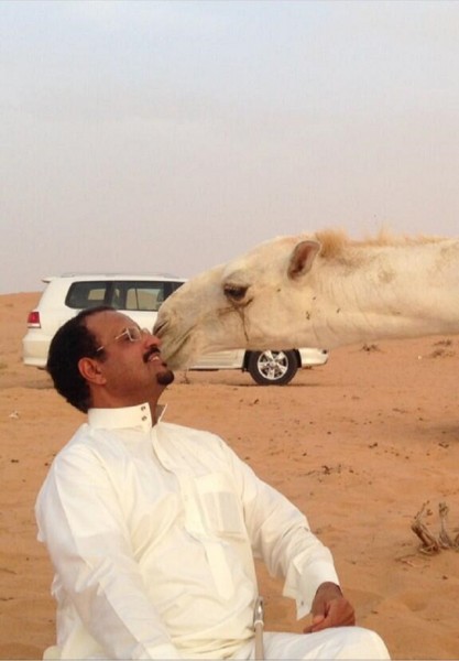 Twitter user Fahad bin Abdulla shares this photograph of himself with his camel. Source: @AlHaqbani