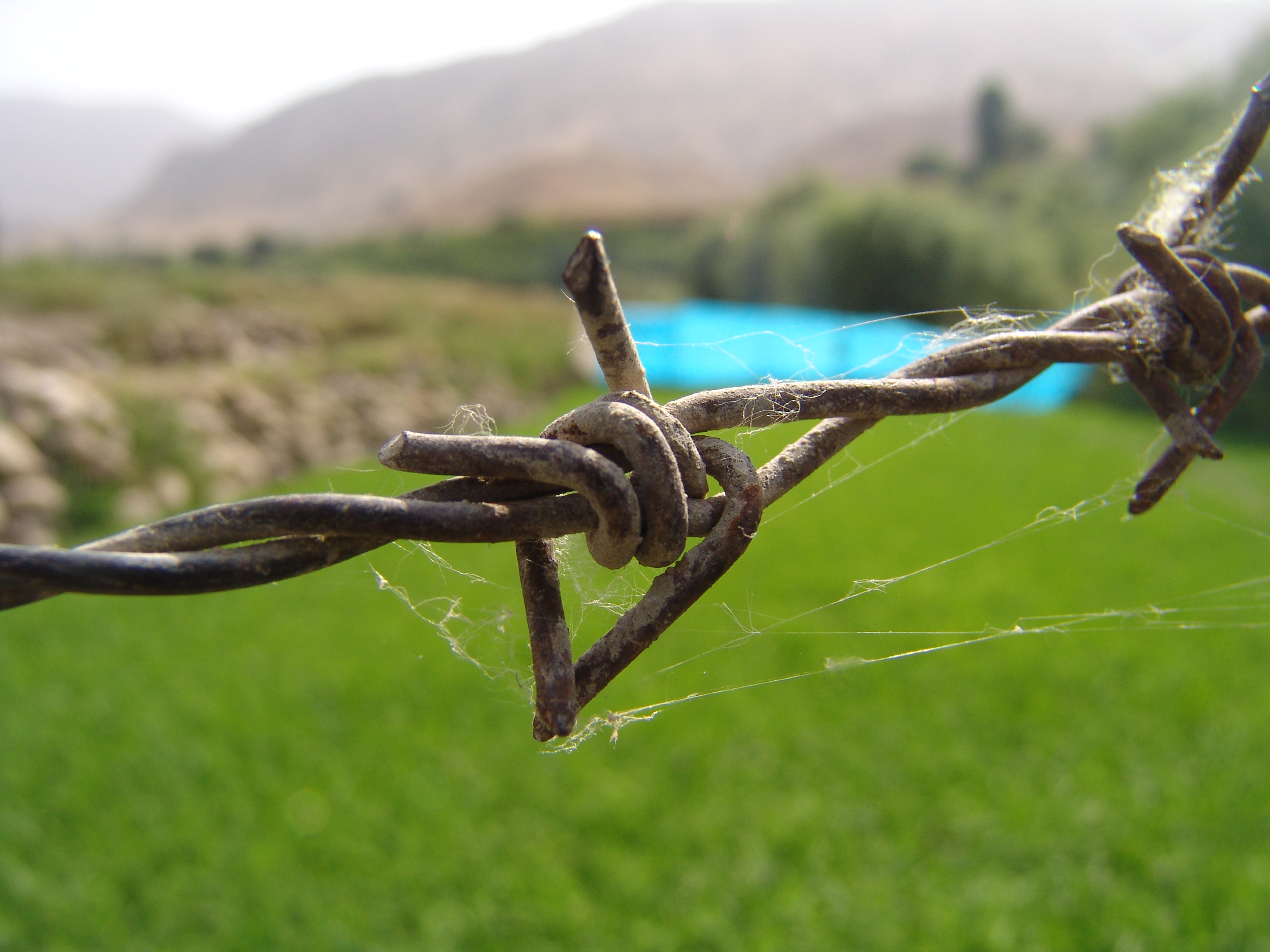 Barbed_Wire_1