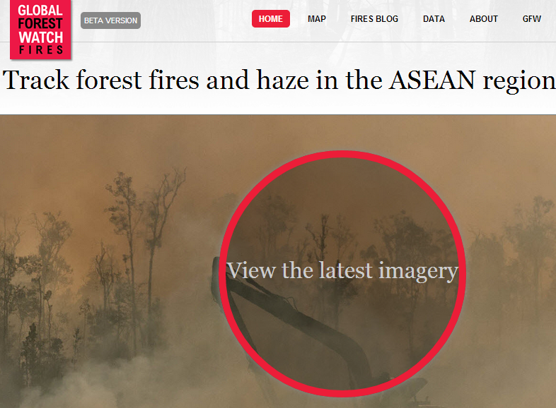 Page d'accueil du logiciel Global Forest, pour détecter les feux illégaux