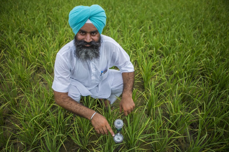 Harpreet Singh checks the water level through a Tensiometer in his paddy fields in Birnaryna as a part of the Climate Smart Village (CSV) programme.  Image by Prasanth Viswanathan. Used with permission