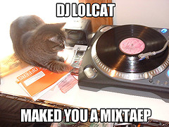 "DJ Lolcat Maked You A Mixtaep" by Stallio via Flickr. (CC BY-SA 2.0)