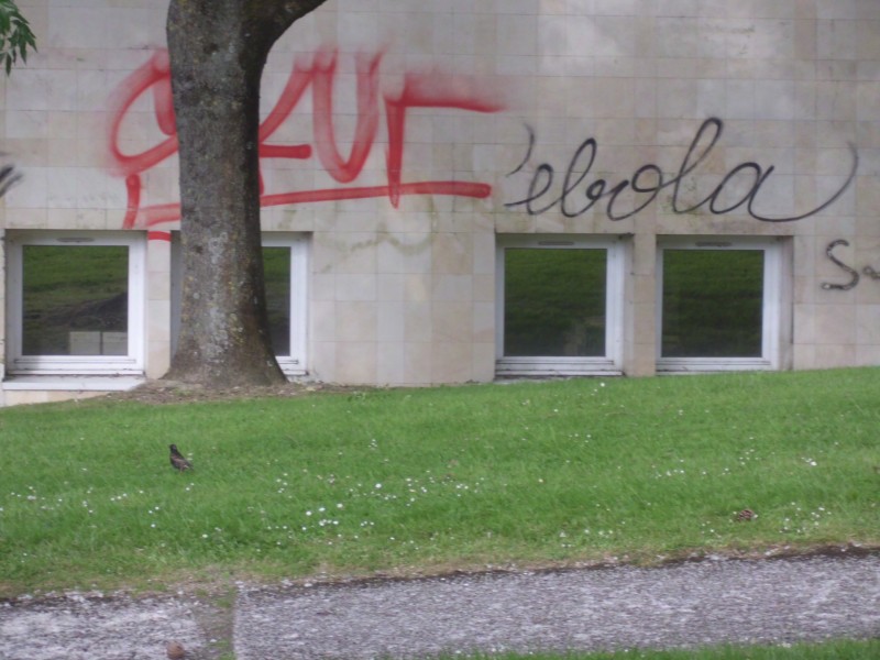 "Ebola" graffiti in Caen, France. Photo by F. S., CC-BY.