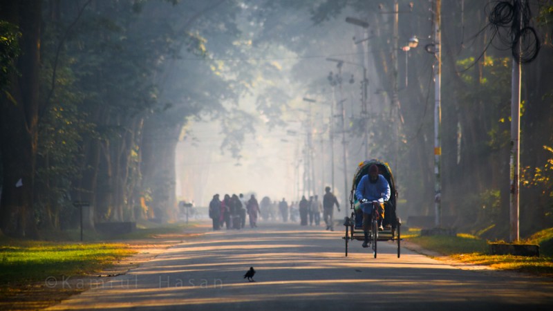 Picture of Rajshahi University Campus in a misty winter morning. Image from Flickr by  Kamrul Hasan. December 16, 2013 (CC BY-NC-SA 2.0) 