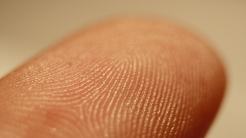 Fingerprinting for biometric data. Wikipedia image.