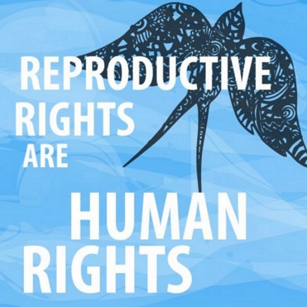 An image widely shared on the web, promoting reproductive rights as human rights. 
