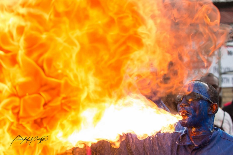 Голубой дьявол, дышащий огнем. Фото Quinten Questel, лицензия CC BY-NC-ND 2.0