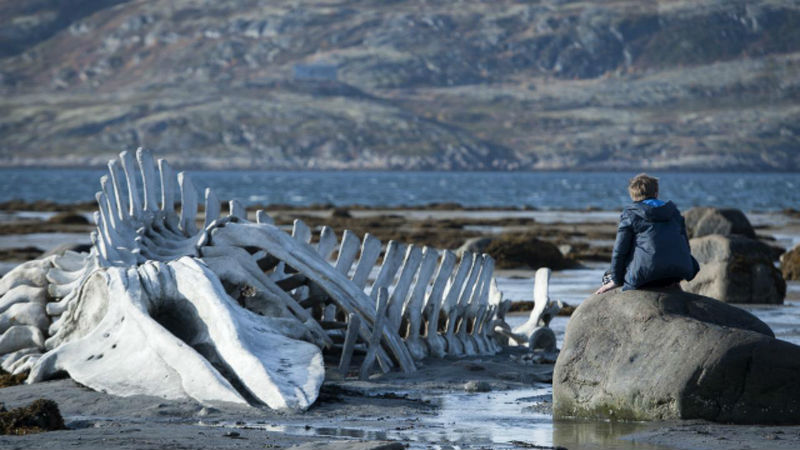 A scene from "Leviathan." Image from Indiewire.
