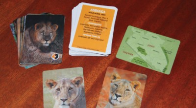 Trading-card-like images and descriptions of lions help Lion Guardians distinguish among individual animals as they work to minimize human-lion conflict. Photo by Stephanie Dloniak