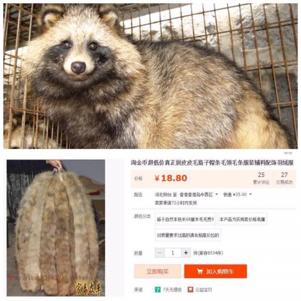 Raccoon fur is sold for RMB 18 online. Photo from Facebook group, "No to Cheap Fur".