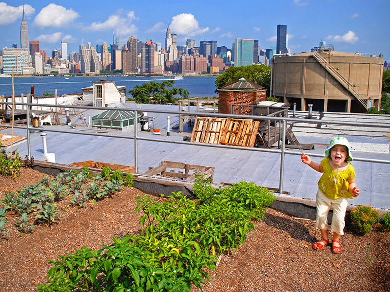 A child stands in an organic garden on a roof in Brooklyn, overlooking the Manhattan skyline. Photo by Flickr user Evan Long. CC-BY-NC-SA 2.0