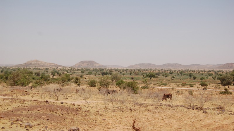  Oblast Diffa v nigerském regionu. Autorem fotografie je Roland Hunziker, z Wikipedie, licence CC 2.0.