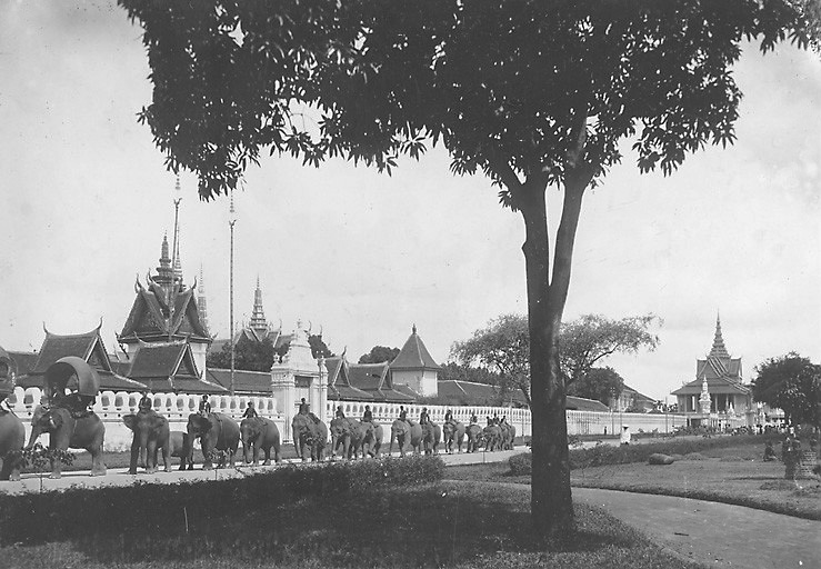 أفيال أمام القصر الملكي.